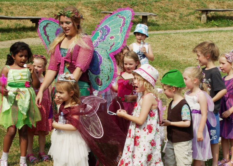 Felicity Fairy Small Parties