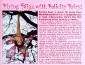 Felicity Fairy feature in FAE Magazine